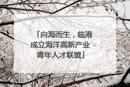 向海而生，临港成立海洋高新产业青年人才联盟